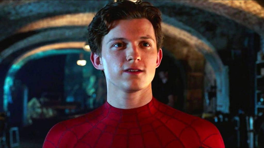 ‘Spider-Man Freshman Year’ Tom Holland Not Reprising His&nbsp;Role