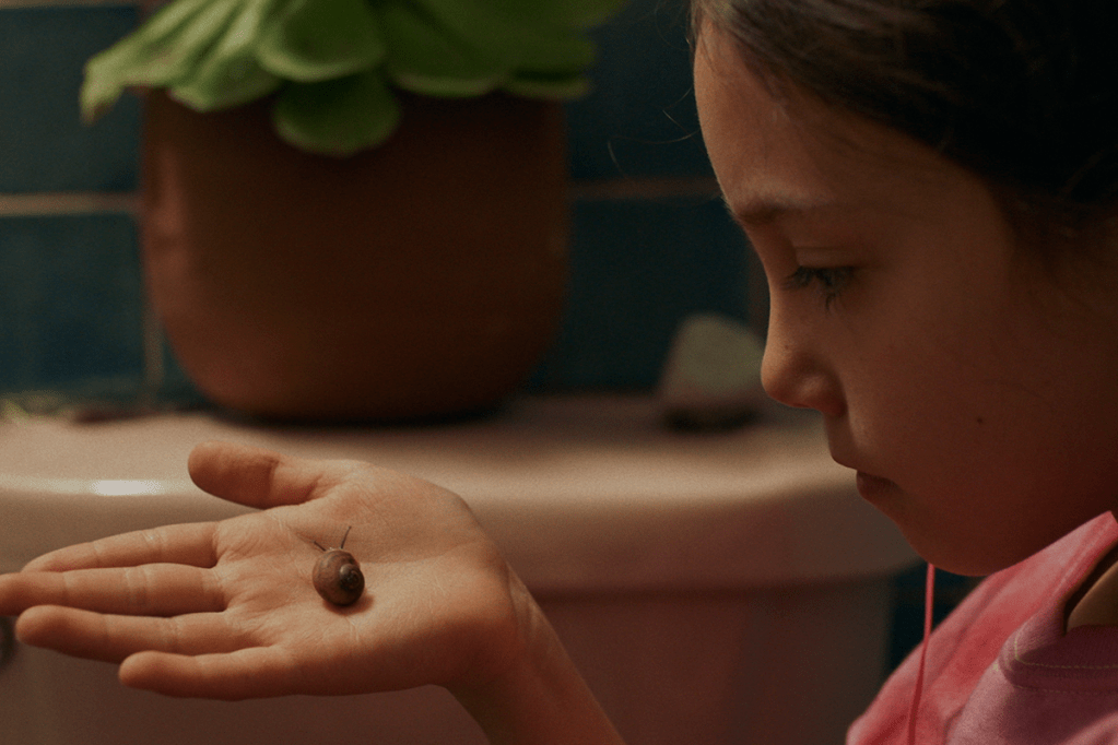 Lila Avilés’ ‘TÓTEM’ Opens January at Film&nbsp;Forum