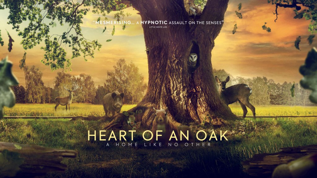 ‘Heart of an Oak’ Coming to Select UK Cinemas 12th&nbsp;July