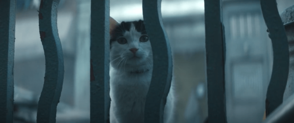 ‘A Quiet Place: Day One’ Cat Featurette – Lupita Nyong’o Didn’t Like Cats Before This&nbsp;Role