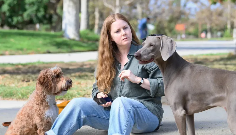 ‘Nightbitch’ New Images Show Amy Adams Fitting Right in with&nbsp;Dogs!