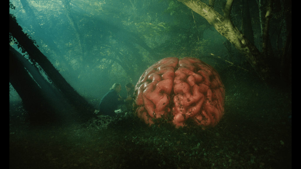 ‘Rumours’ Horror Comedy Starring Cate Blanchett and Alicia Vikander Out October 18&nbsp;[Trailer]