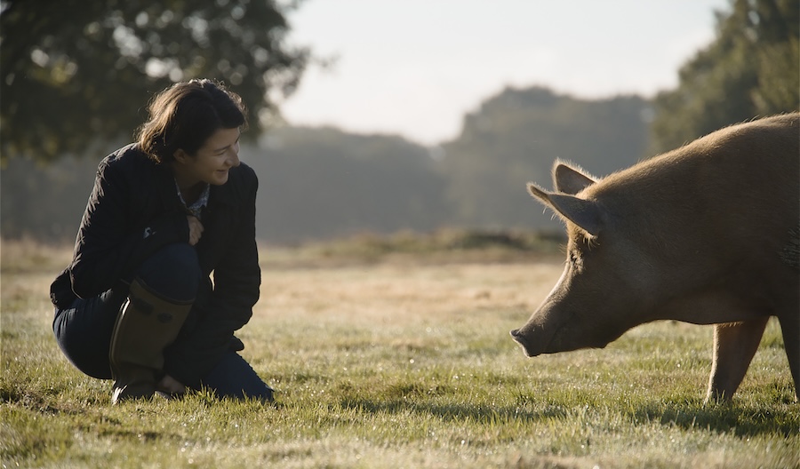 ‘Wilding’ | UK’s Highest Grossing Documentary of 2024 set for Blu-ray & DVD&nbsp;release