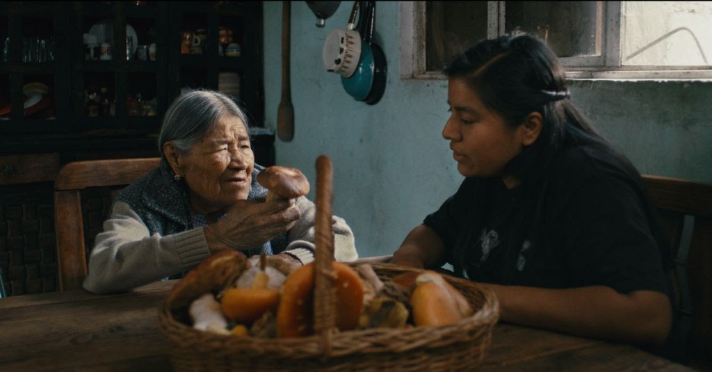 Trailer Debut for Sci-Fi Documentary ‘Daughters of the Forest’ Ahead of SXSW&nbsp;Premiere